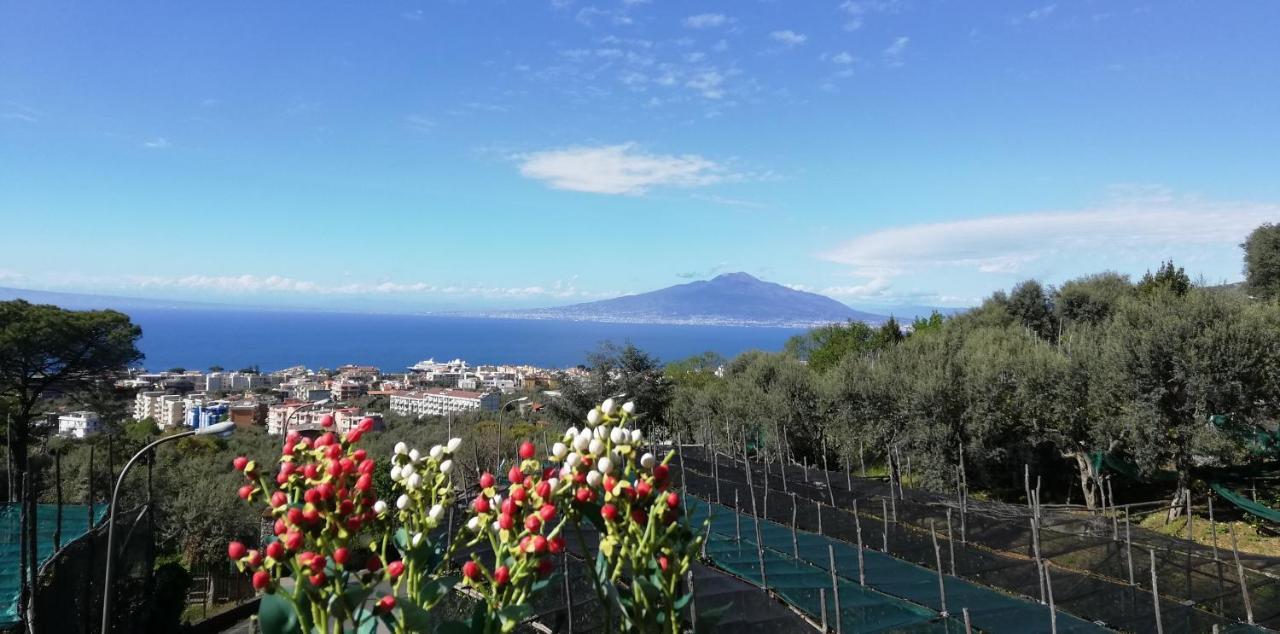 Sorrento Dolce Casa公寓 外观 照片
