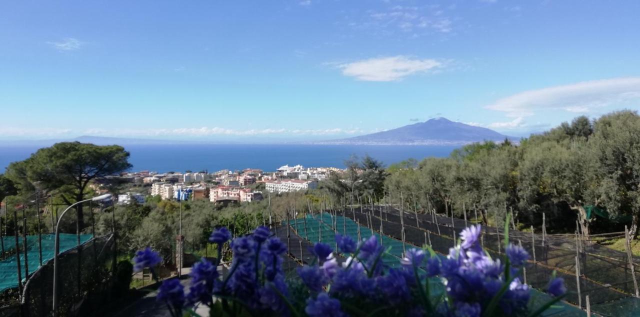 Sorrento Dolce Casa公寓 外观 照片