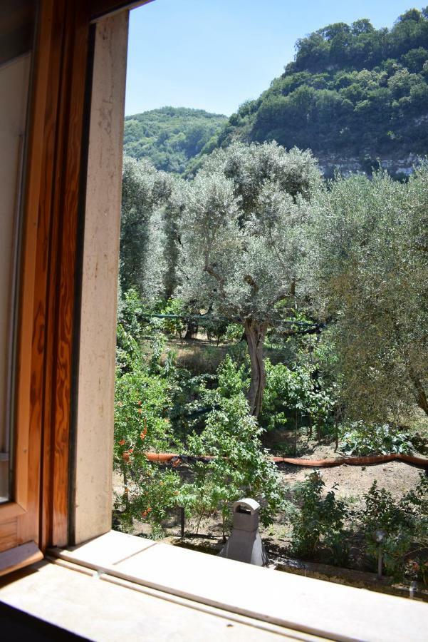 Sorrento Dolce Casa公寓 外观 照片
